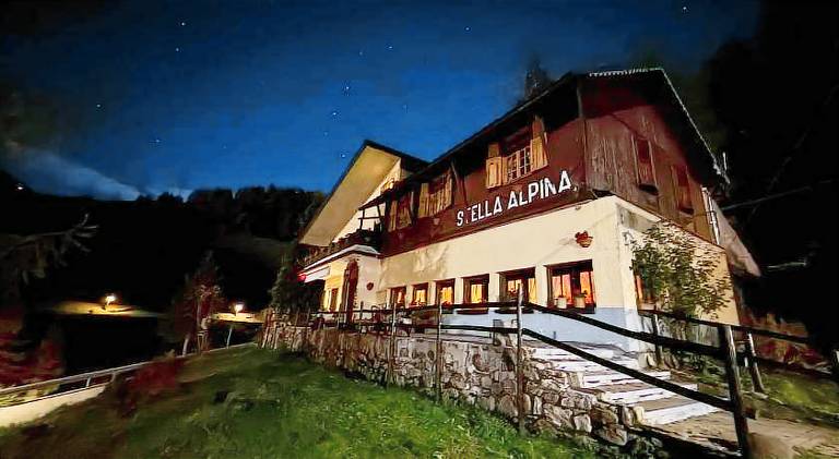 Immagine che raffigura Stella Alpina